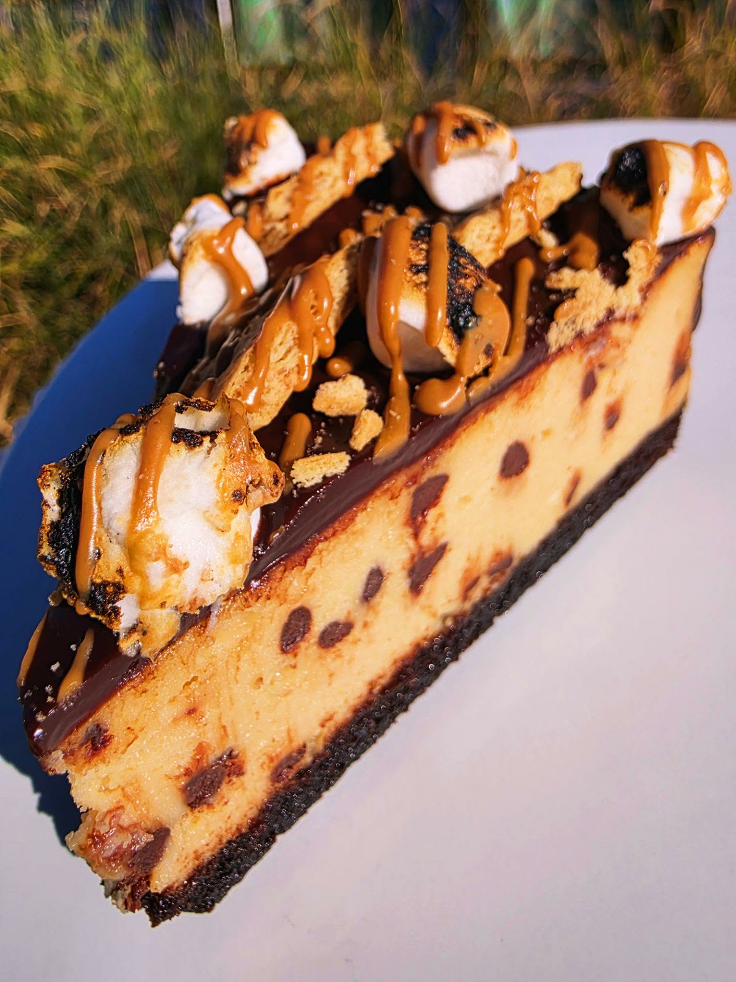 Cookie-Butter-S'mores-Brownie-Cheesecake